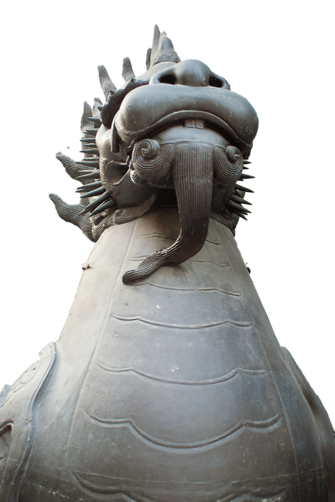 Mann Im Langarm, Der Foto Aufnimmt