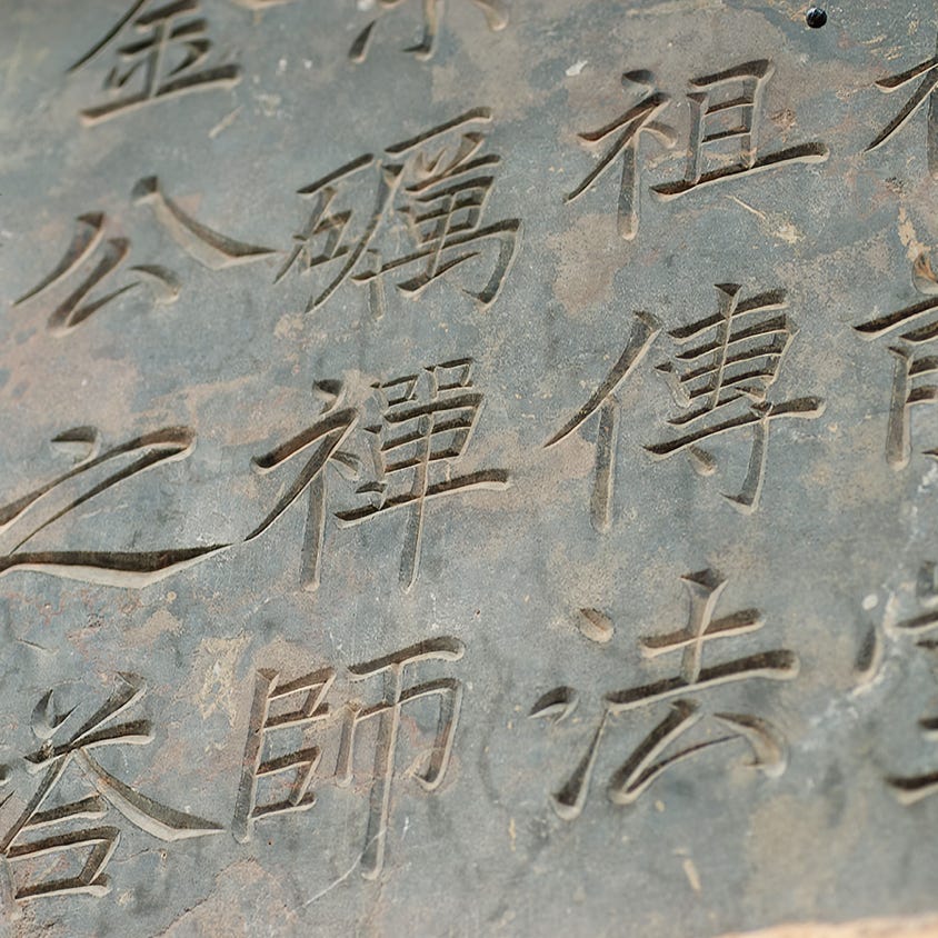 Mann Nimmt Video Der Frau, Die Geige Spielt